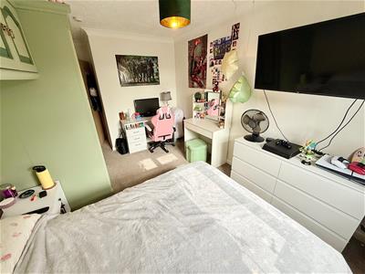 Picture 15